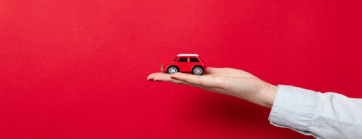 Auto suspension de permis
